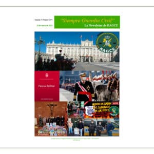 Newsletter  13