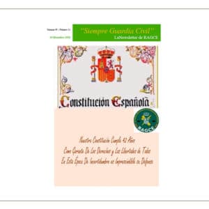 Newsletter  11