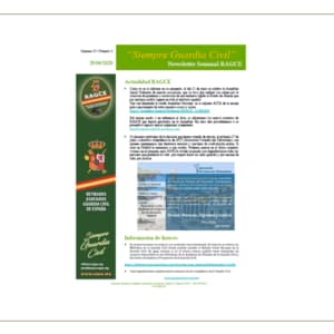 Newsletter 3