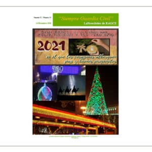 Newsletter  12